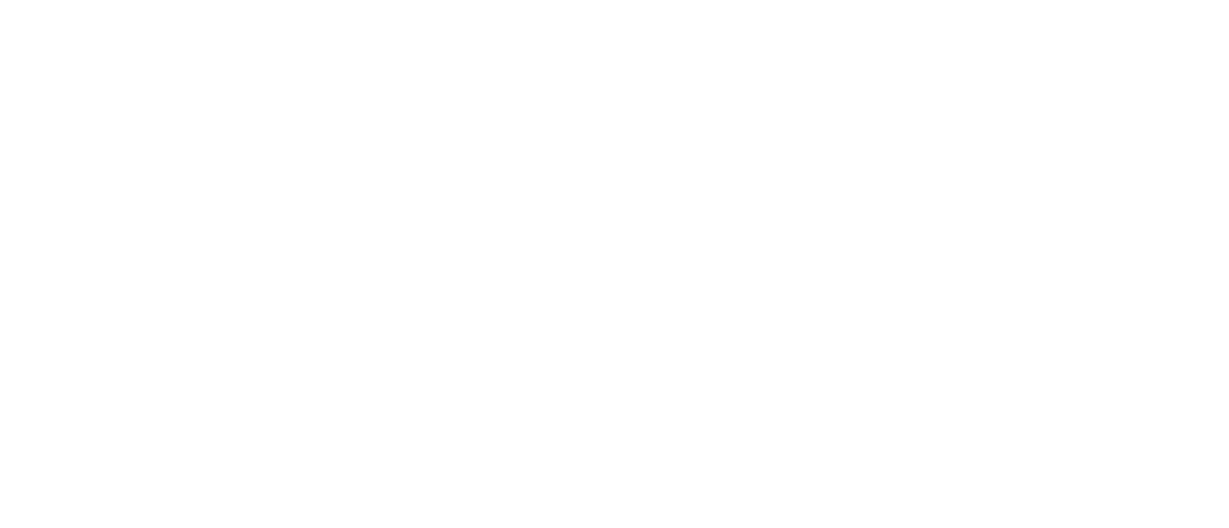 Fiesta LD_logos_horizontal-long_white transparent