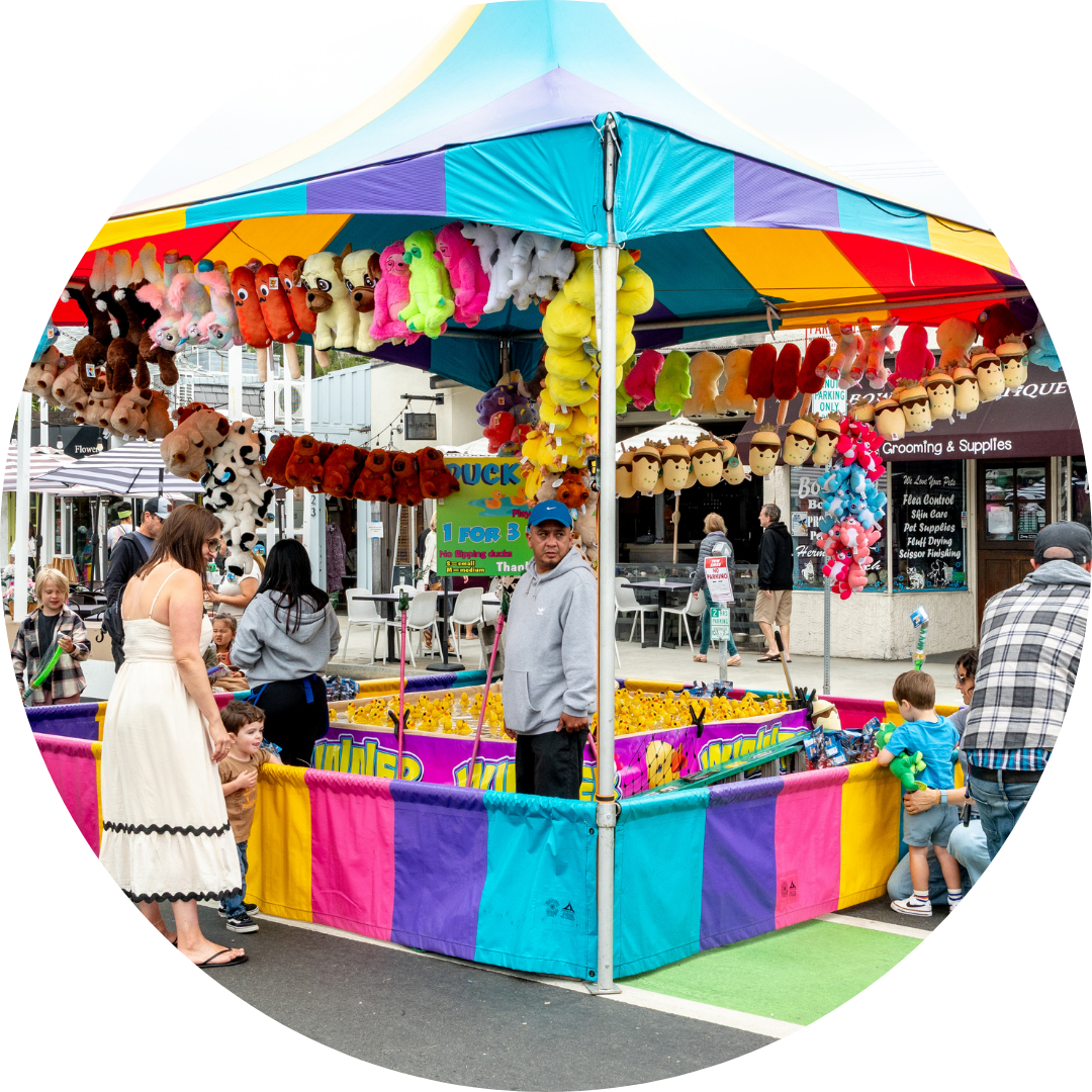 carnival LD
